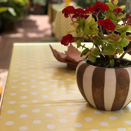 Anna Wunderbar Bed & Breakfast Casamicciola Terme
